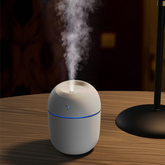 #29 Mini LED Humidifier