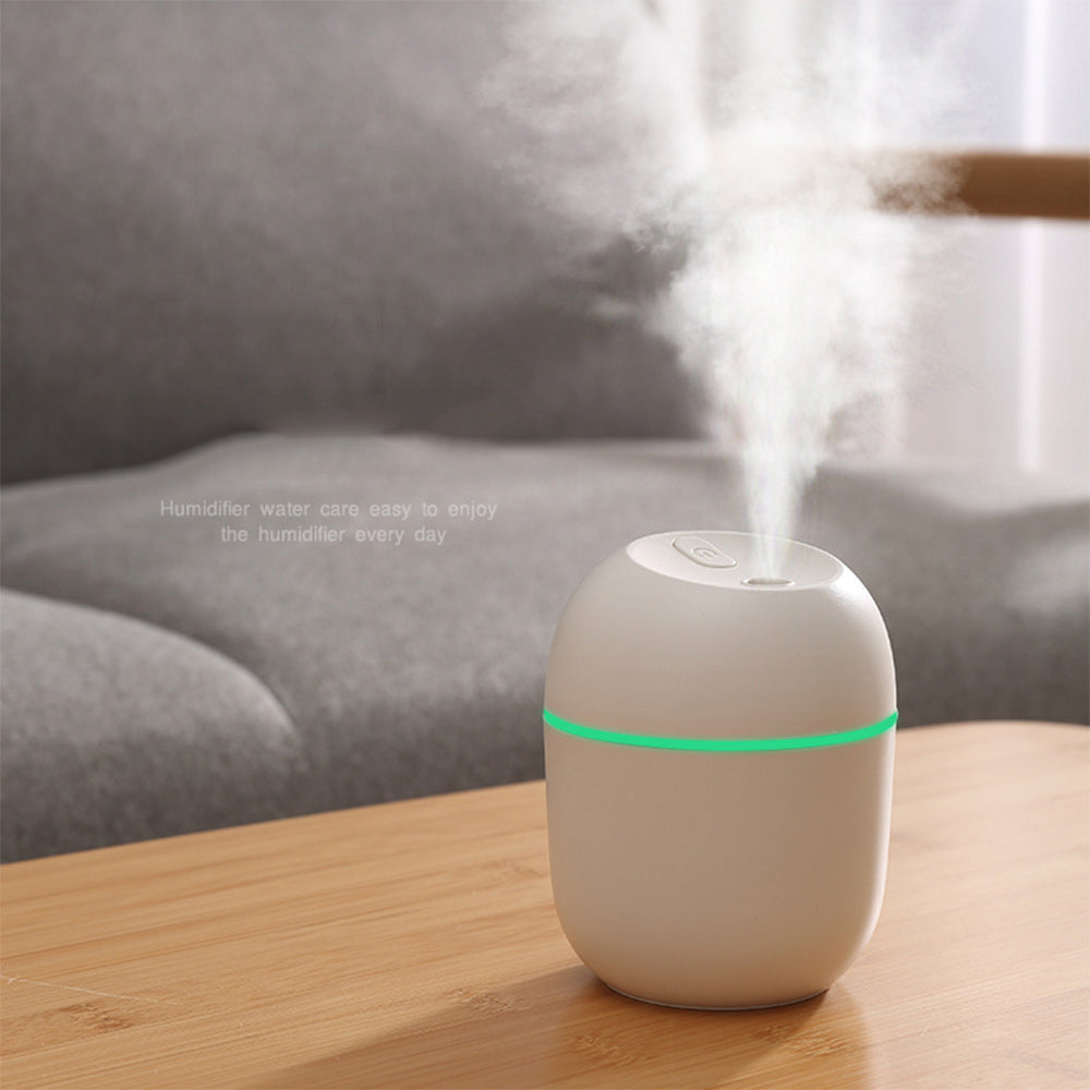 #29 Mini LED Humidifier