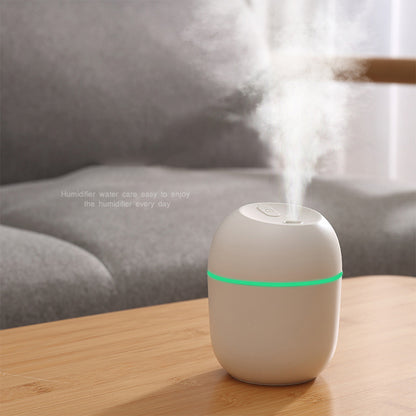 #29 Mini LED Humidifier